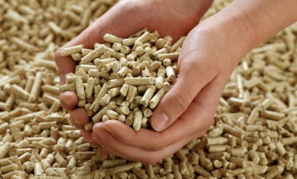 Qual è il pellet migliore per le nostre stufe