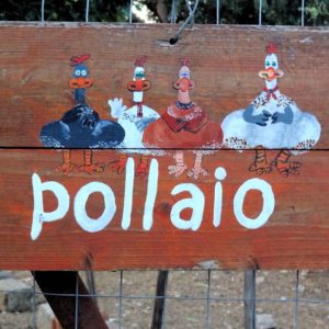 Costruire un pollaio: è edilizia libera?
