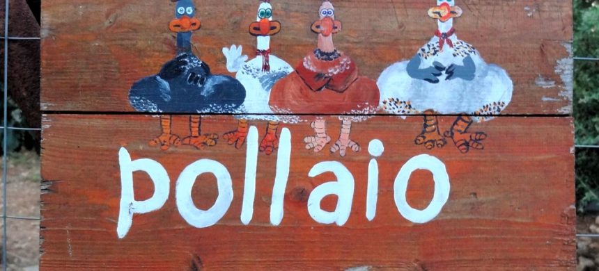 Costruire un pollaio: è edilizia libera? Costruire un pollaio: è edilizia libera?