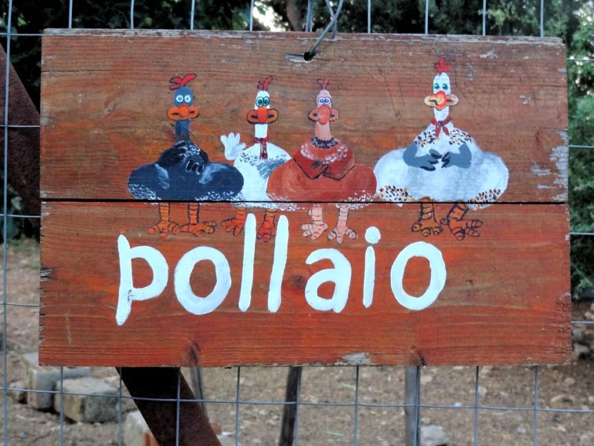 Costruire un pollaio: è edilizia libera?