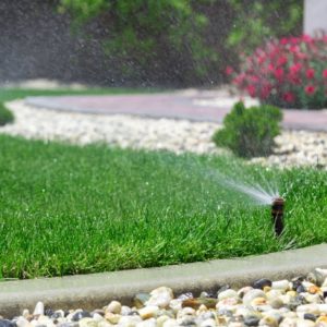Come scegliere l’irrigatore da giardino
