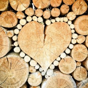 Cos’è il legno PEFC