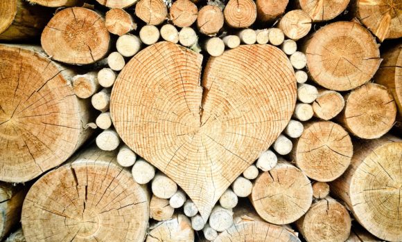 Cos’è il legno PEFC