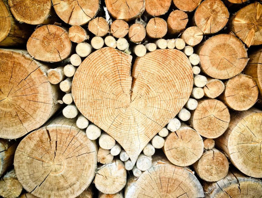 Cos’è il legno PEFC