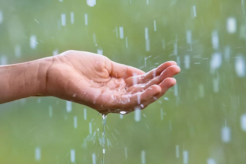 Acqua piovana