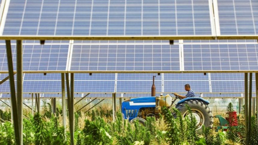 Cos’è l’agrovoltaico