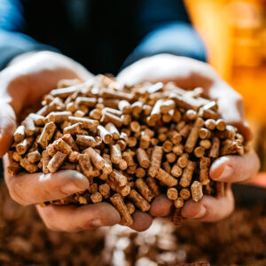 Crisi pellet: cosa aspettarsi per l’inverno