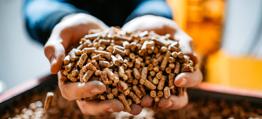 Crisi pellet: cosa aspettarsi per l’inverno Crisi pellet: cosa aspettarsi per l’inverno