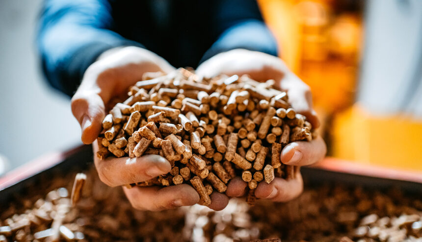 Crisi pellet: cosa aspettarsi per l’inverno