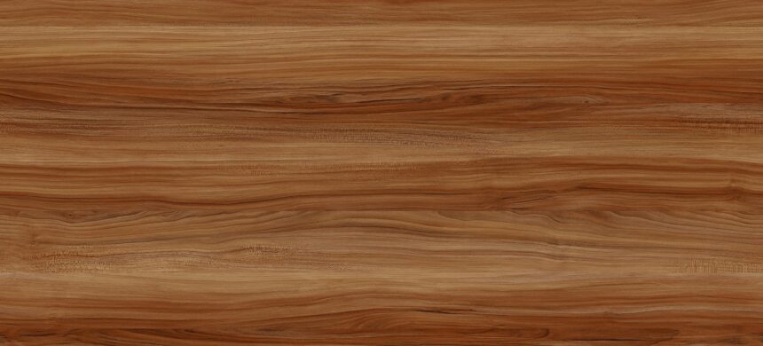 Legno di Teak: caratteristiche e utilizzi Legno di Teak: caratteristiche e utilizzi