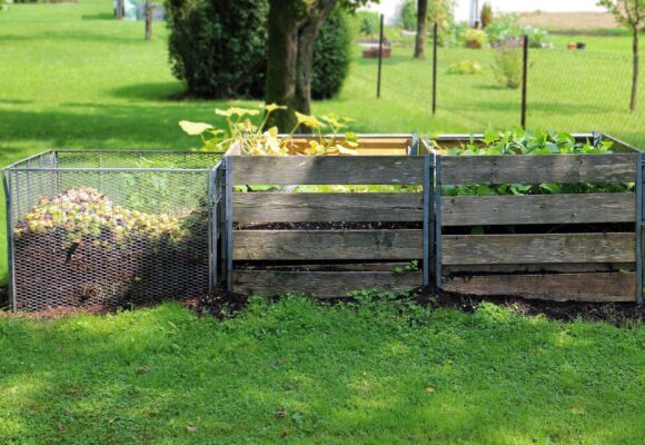 Compostiera: come e perché sceglierla