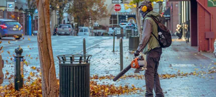 Soffiatori per il giardino: cosa sono e quale scegliere Soffiatori per il giardino: cosa sono e quale scegliere